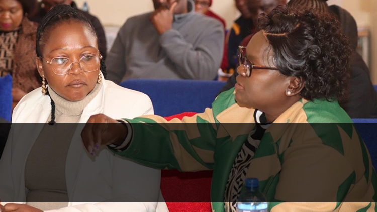 Inclusive Education Placement